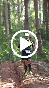 BIB:  <button type="button" onclick="openModal(26569774)" class="btn btn-primary btn-sm float-right" data-toggle="modal" data-target=".modal-high-quality">
                <i class="fa fa-download"></i> Download
                </button>